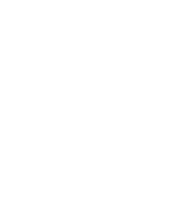 Advancis Consulting logo