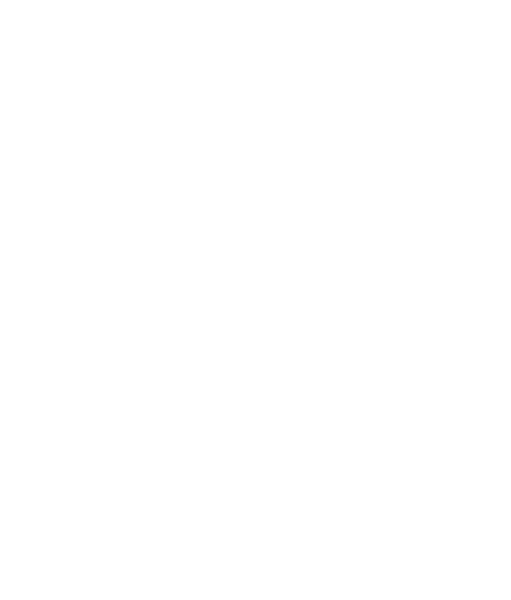 Advancis Consulting logo